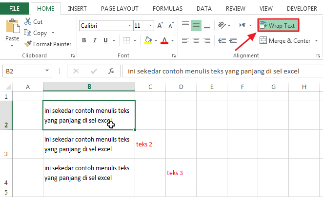 Wrap Text Excel